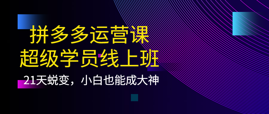 拼多多运营课：超级学员线上班，21天蜕变，小白也能成大神-源创智汇网