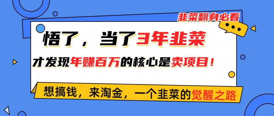 悟了，当了3年韭菜，才发现网赚圈年赚100万的核心是卖项目，含泪分享！-源创智汇网