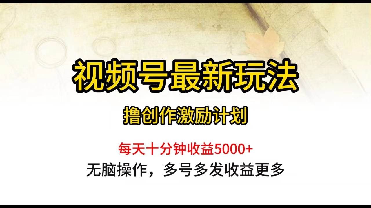 视频号最新玩法，每日一小时月入5000+-源创智汇网