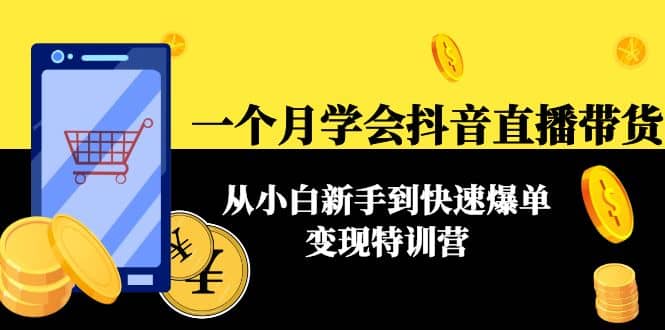 一个月学会抖音直播带货：从小白新手到快速爆单变现特训营(63节课)-源创智汇网