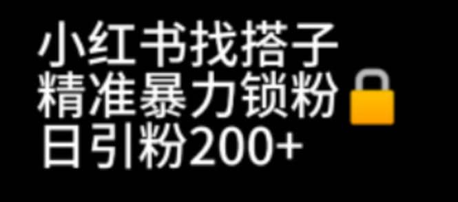 小红书找搭子暴力精准锁粉+引流日引200+精准粉-源创智汇网