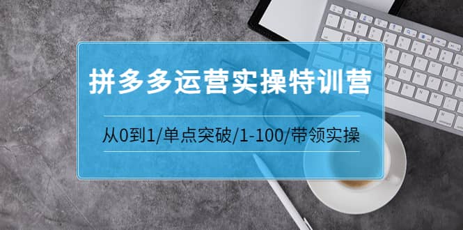 拼多多运营实操特训营：从0到1/单点突破/1-100/带领实操 价值2980元-源创智汇网