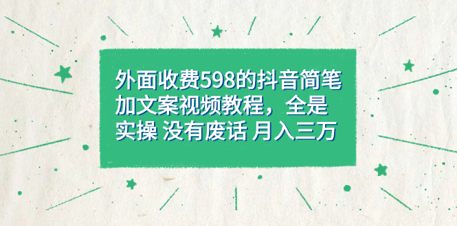 外面收费598抖音简笔加文案教程，全是实操 没有废话 月入三万（教程+资料）-源创智汇网