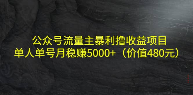 公众号流量主暴利撸收益项目，单人单号月稳赚5000+（价值480元）-源创智汇网