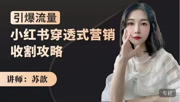 小红书穿透式营销收割攻略，引爆流量，助你玩转小红书-源创智汇网