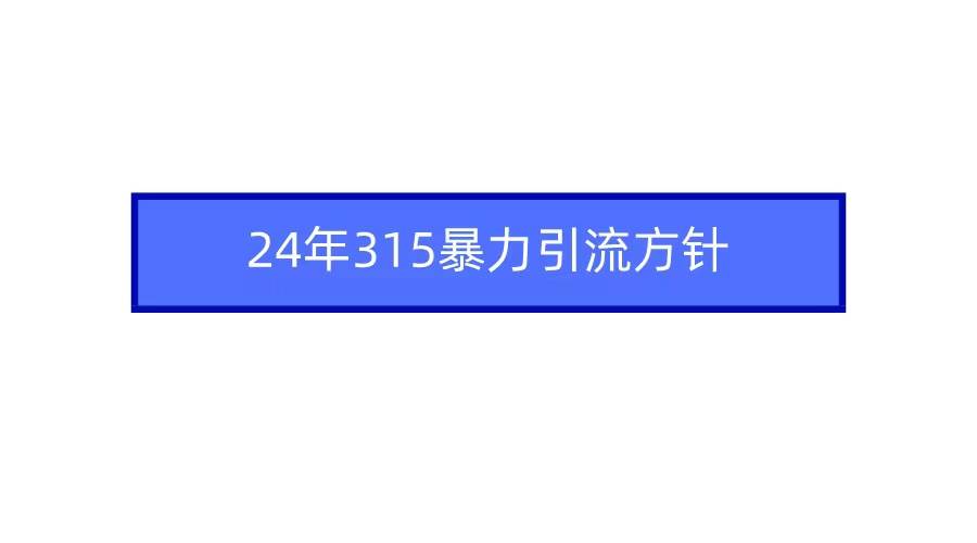 2024年315暴力引流方针-源创智汇网