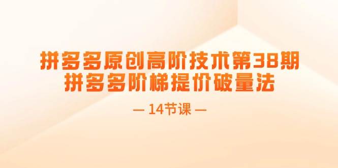 拼多多原创高阶技术第38期，拼多多阶梯提价破量法（14节课）-源创智汇网
