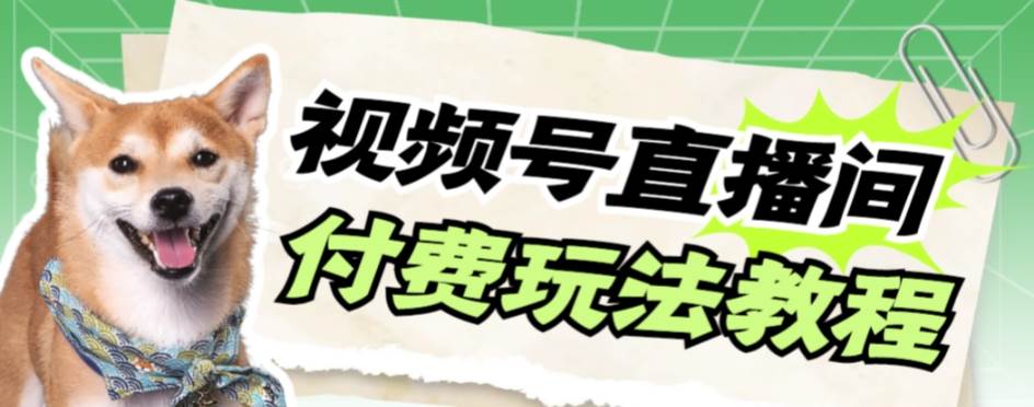 视频号美女付费无人直播，轻松日入500+【详细玩-源创智汇网