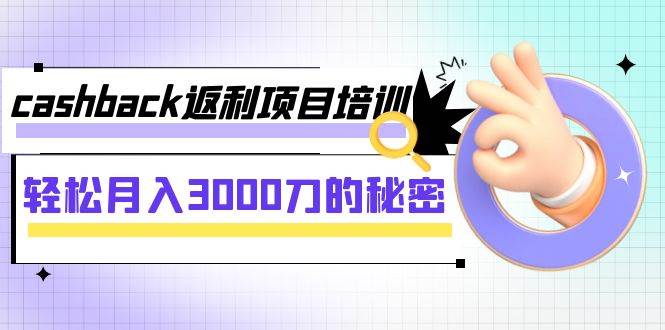 cashback返利项目培训：轻松月入3000刀的秘密（8节课）-源创智汇网