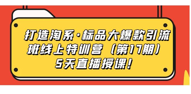 打造淘系·标品大爆款引流班线上特训营5天直播授课！-源创智汇网