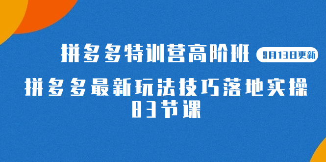 2023拼多多·特训营高阶班【9月13日更新】拼多多最新玩法技巧落地实操-83节-源创智汇网