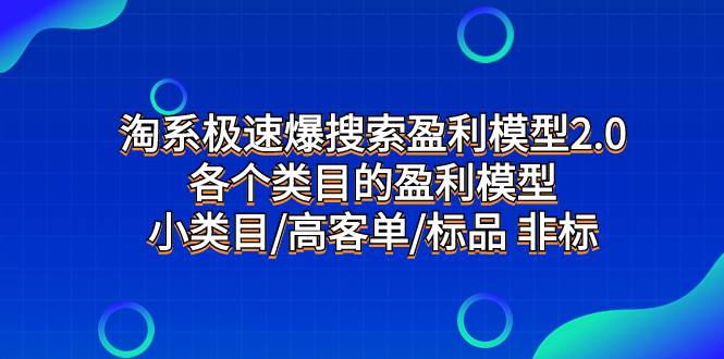 淘系极速爆搜索盈利模型2.0，各个类目的盈利模型，小类目/高客单/标品 非标-源创智汇网