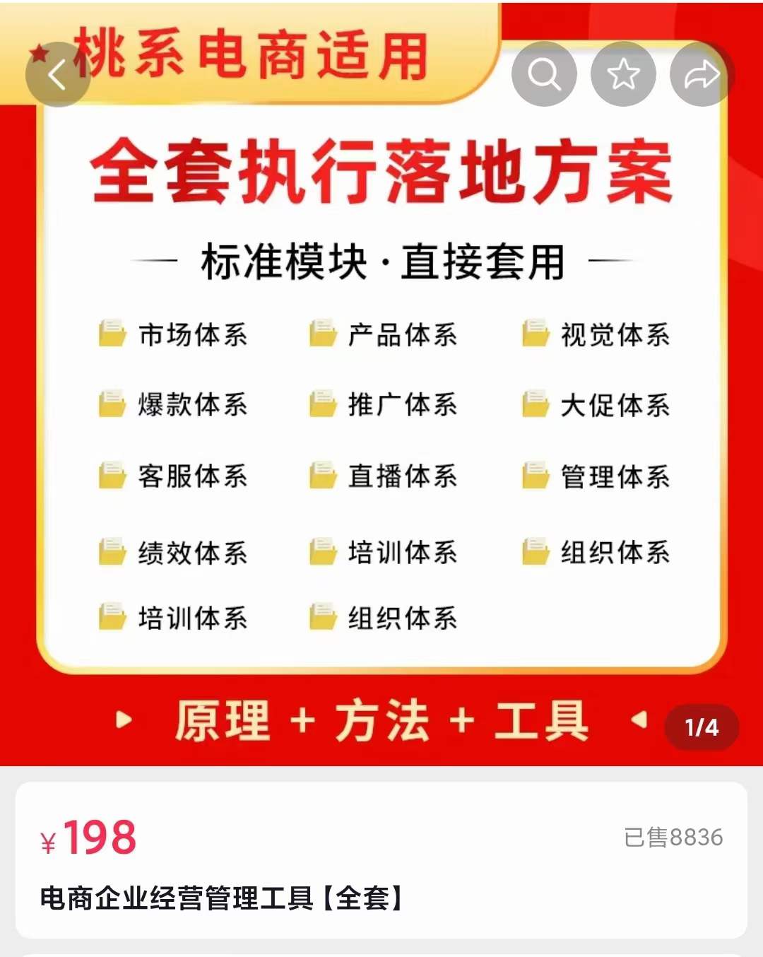 外面卖198·电商企业经营管理工具：全套执行落地方案 标准模块·直接套用-源创智汇网