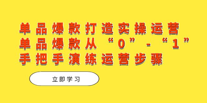 单品爆款打造实操运营，单品爆款从“0”-“1”手把手演练运营步骤-源创智汇网