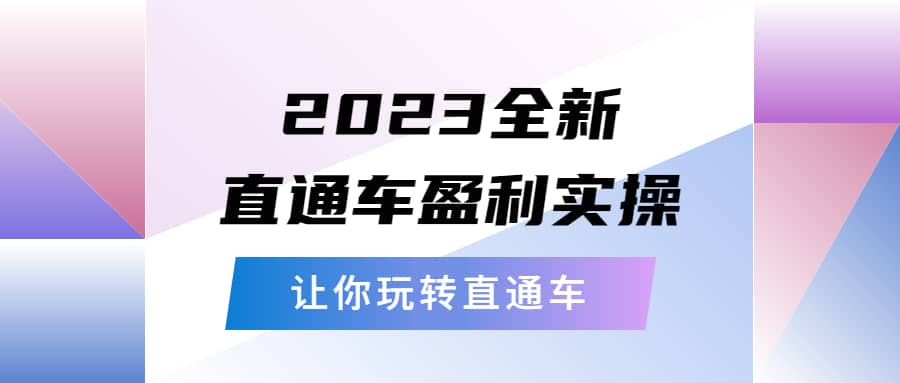 2023全新直通车·盈利实操：从底层，策略到搭建，让你玩转直通车-源创智汇网