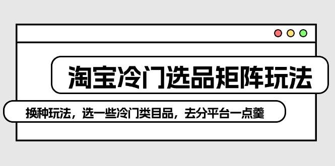 淘宝冷门选品矩阵玩法：换种玩法，选一些冷门类目品，去分平台一点羹-源创智汇网