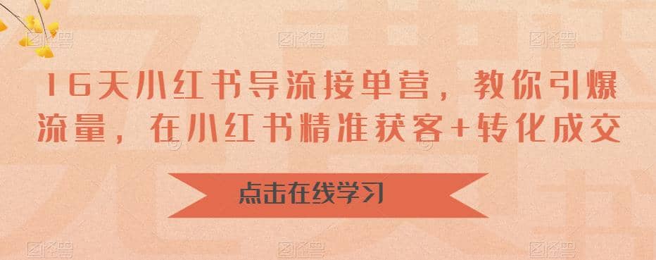 16天-小红书 导流接单营，教你引爆流量，在小红书精准获客+转化成交-源创智汇网