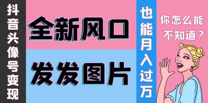 抖音头像号变现0基础教程-源创智汇网