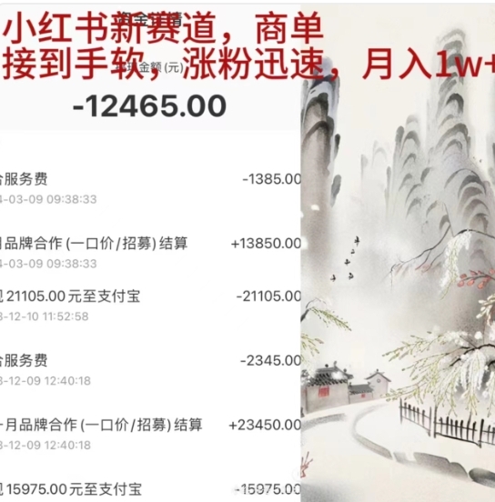 小红书新赛道，商单接到手软，涨粉迅速，一个月1w+-源创智汇网