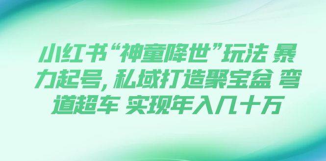 小红书“神童降世”玩法 暴力起号,私域打造聚宝盆 弯道超车 实现年入几十万-源创智汇网