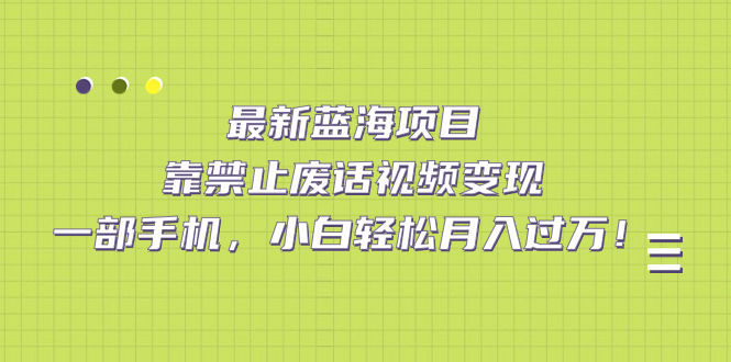 最新蓝海项目，靠禁止废话视频变现，一部手机，小白轻松月入过万！-源创智汇网