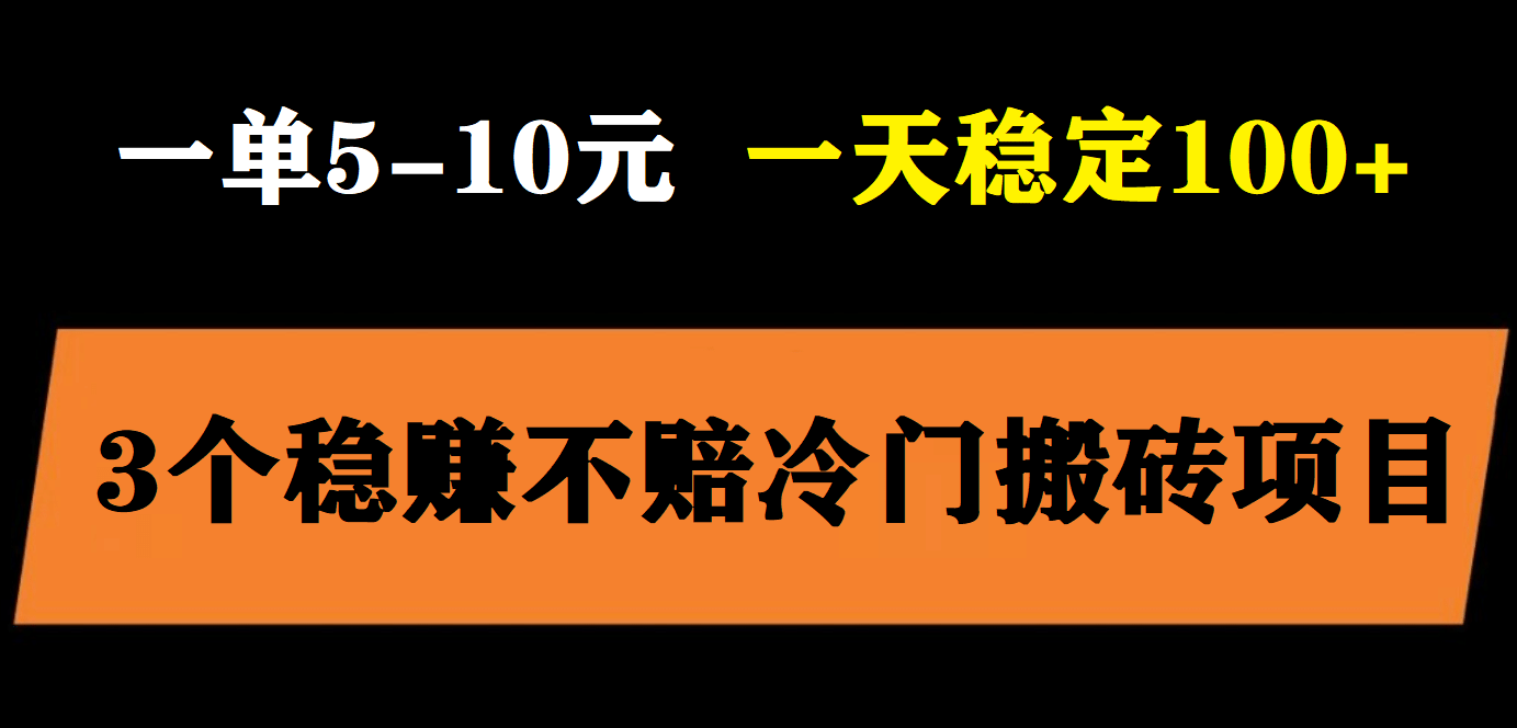 3个最新稳定的冷门搬砖项目，小白无脑照抄当日变现日入过百-源创智汇网