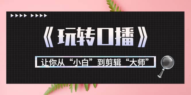 月营业额700万+大佬教您《玩转口播》让你从“小白”到剪辑“大师”-源创智汇网