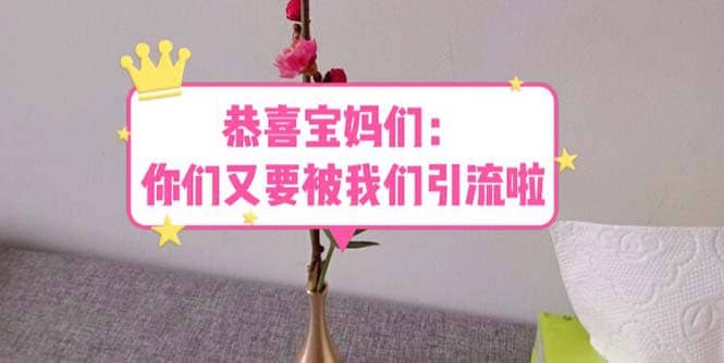 恭喜宝妈们：你们又要被我们引流了（教程+222g资料）-源创智汇网