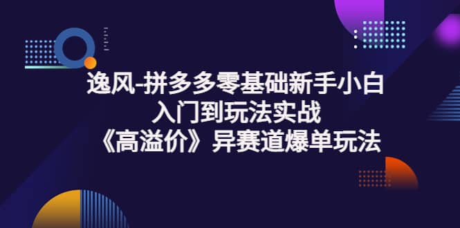 拼多多零基础新手小白入门到玩法实战《高溢价》异赛道爆单玩法实操课-源创智汇网