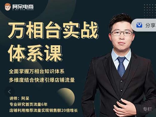 阿呆-万相台实战体系课，帮您全面掌握万相台知识体系-源创智汇网
