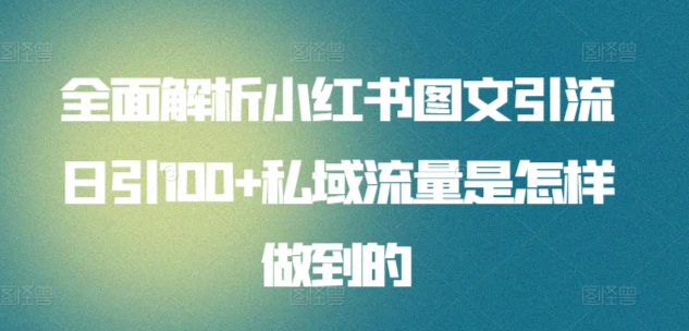 全面解析小红书图文引流日引100私域流量是怎样做到的-源创智汇网