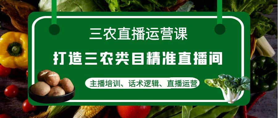 三农直播运营课：打造三农类目精准直播间，主播培训、话术逻辑、直播运营-源创智汇网