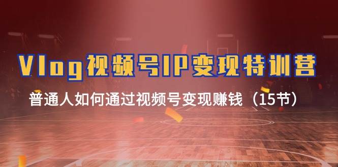 Vlog 视频号IP变现特训营，普通人如何通过视频号变现赚钱（15节）-源创智汇网