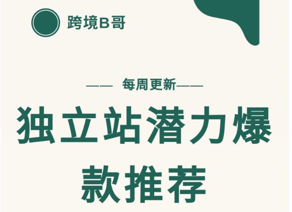 【跨境B哥】独立站潜力爆款选品推荐，测款出单率高达百分之80（每周更新）-源创智汇网