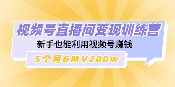 视频号直播间变现训练营-源创智汇网