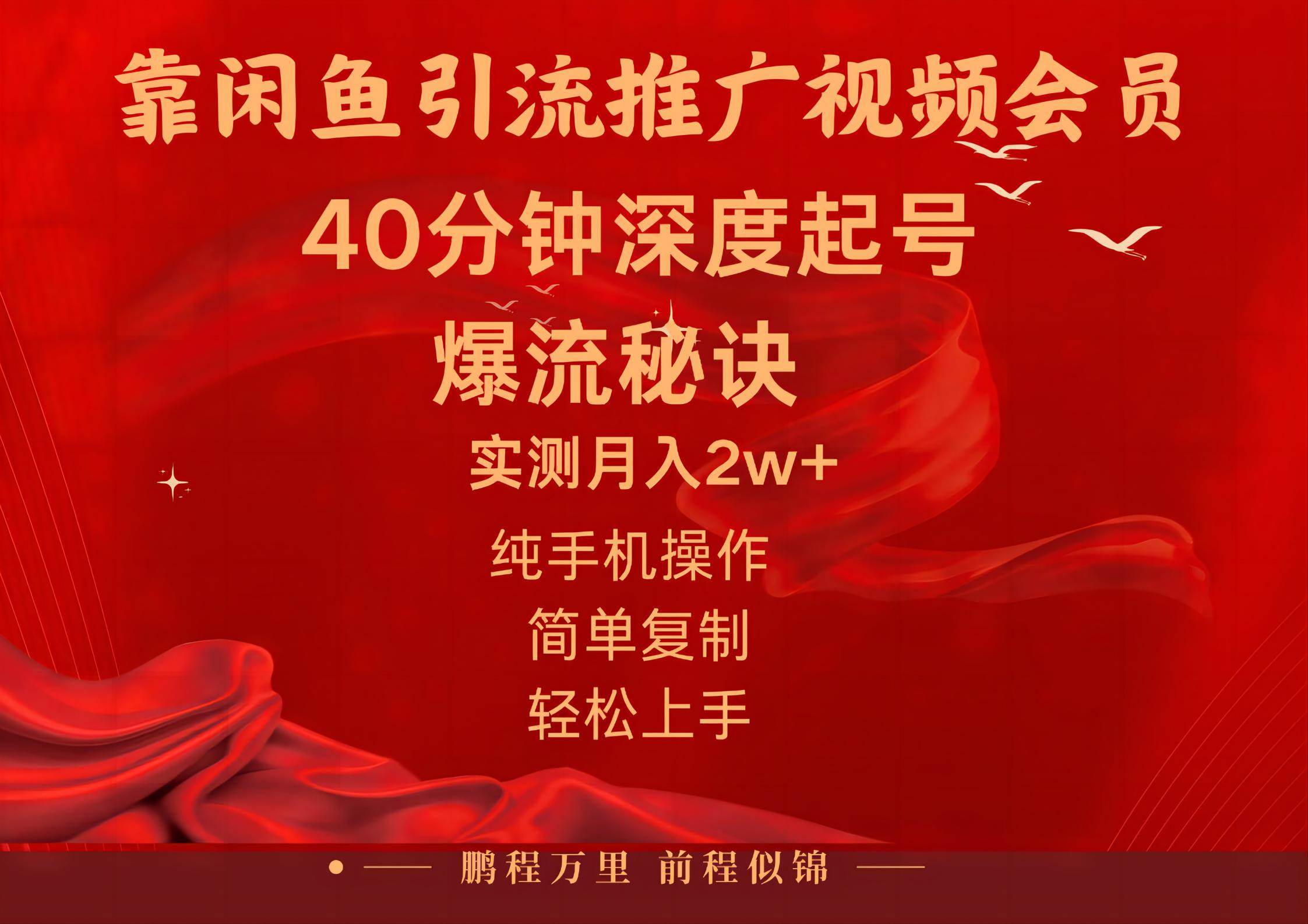 闲鱼暴力引流推广视频会员，能做到日入2W+，操作简单-源创智汇网