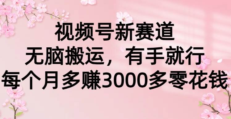 视频号新赛道，无脑搬运，有手就行，每个月多赚3000多零花钱-源创智汇网