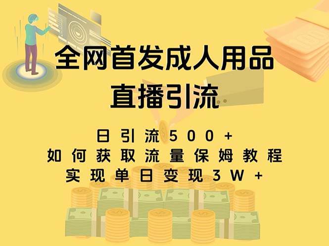 最新全网独创首发，成人用品直播引流获客暴力玩法，单日变现3w保姆级教程-源创智汇网