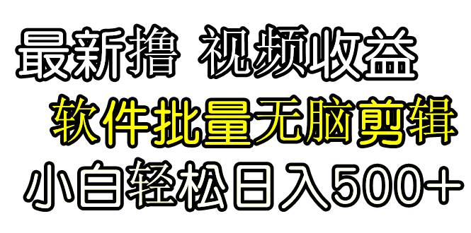 发视频撸收益，软件无脑批量剪辑，第一天发第二天就有钱-源创智汇网