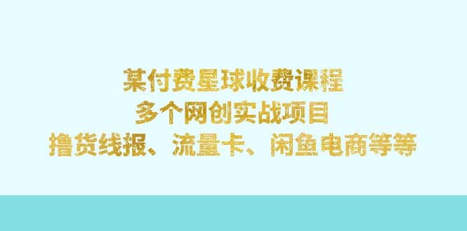 某付费星球课程：多个网创实战项目，撸货线报、流量卡、闲鱼电商等等-源创智汇网