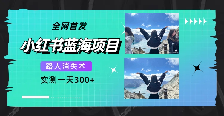 全网首发，小红书蓝海项目，路人消失术，实测一天300+（教程+工具）-源创智汇网