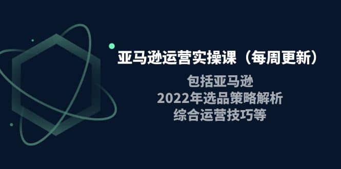 亚马逊运营实操课（每周更新）包括亚马逊2022选品策略解析，综合运营技巧等-源创智汇网