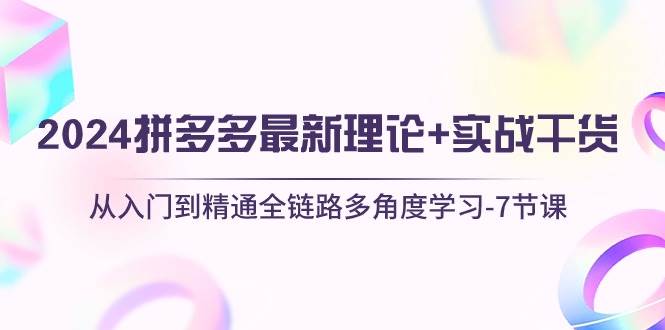 2024拼多多 最新理论+实战干货，从入门到精通全链路多角度学习-7节课-源创智汇网