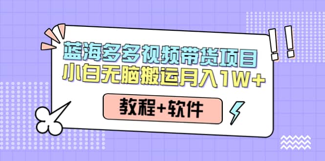 人人都能操作的蓝海多多视频带货项目 小白无脑搬运（教程+软件）-源创智汇网