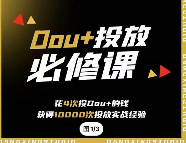 代同学DOU+投放训练营，用付费流量撬动大额自然流量，过得超额变现转化-源创智汇网