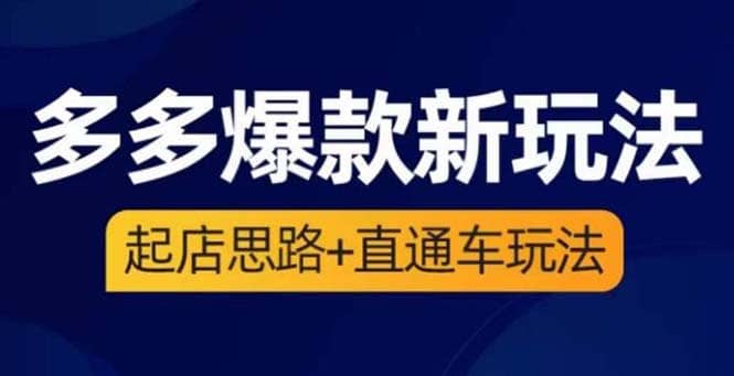 2023拼多多爆款·新玩法：起店思路+直通车玩法（3节精华课）-源创智汇网