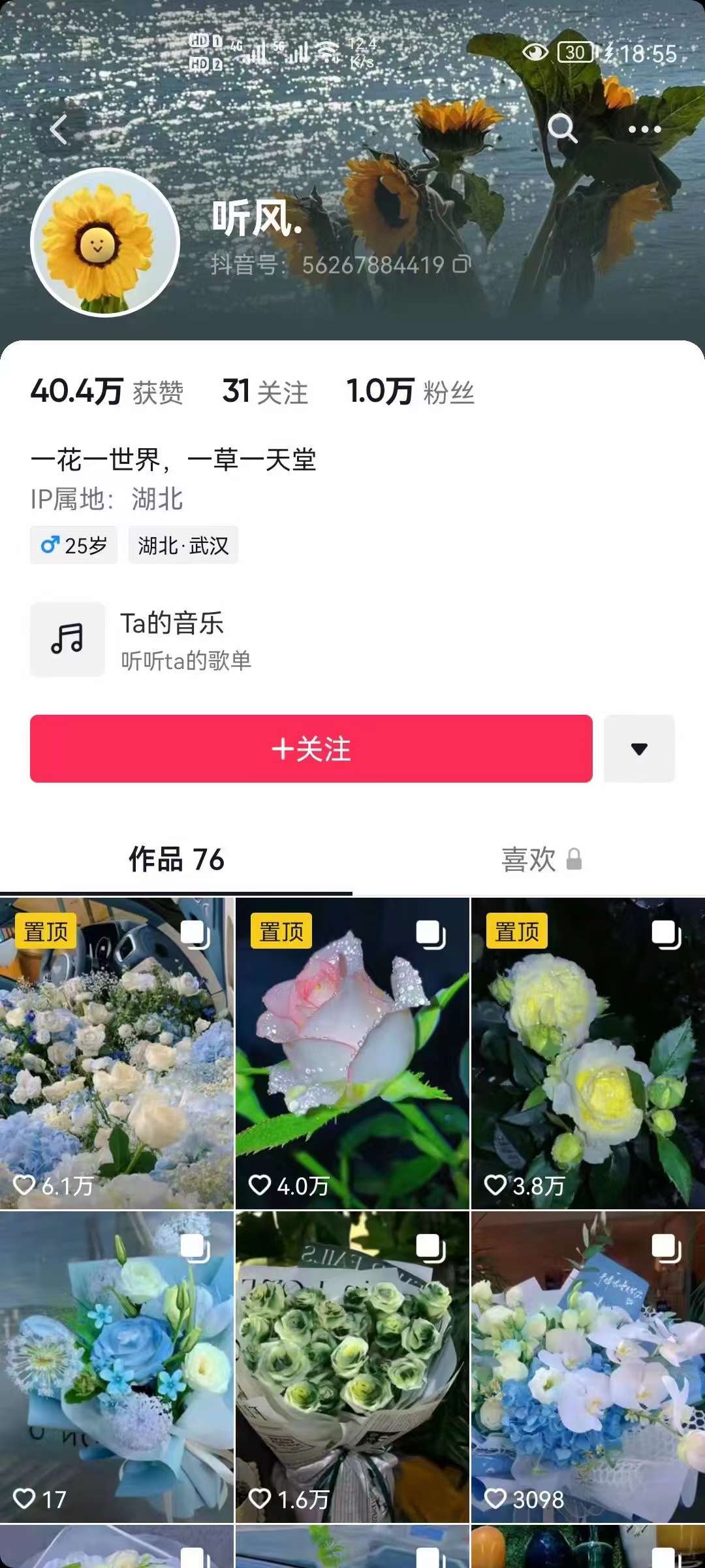 图片[2]-抖音壁纸变现项目：实战日入380+发布壁纸素材获取收益！-源创智汇网