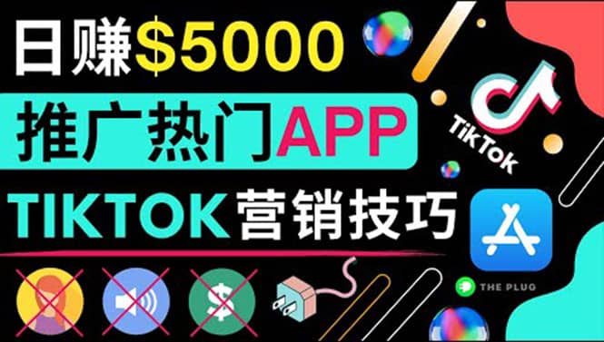 无需露脸，无需录音，无需投资，TIKTOK上传短视频，最高日入5000美元-源创智汇网