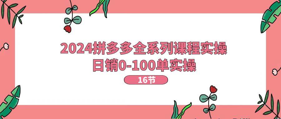 2024拼多多全系列课程实操，日销0-100单实操【16节课】-源创智汇网