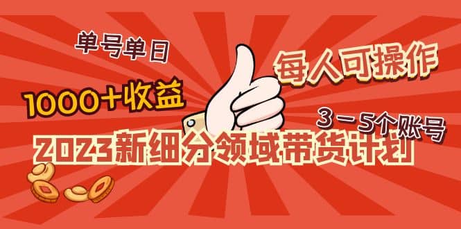 2023新细分领域带货计划：单号单日1000+收益不难，每人可操作3-5个账号-源创智汇网